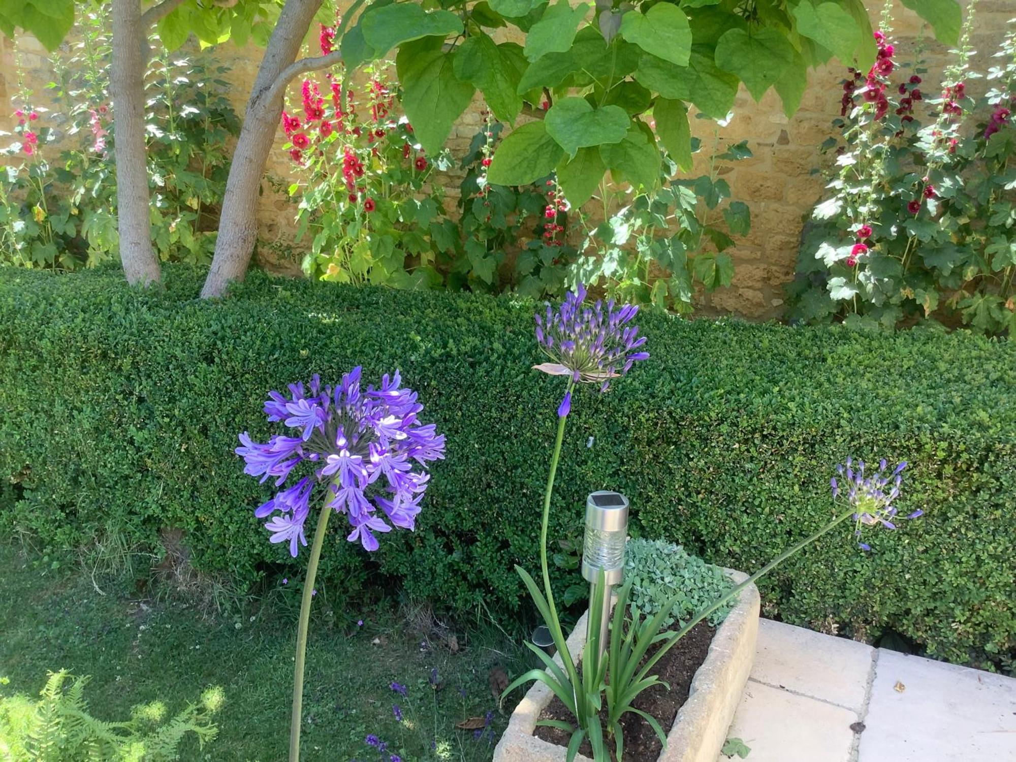 Holly House Bed and Breakfast Ebrington Εξωτερικό φωτογραφία